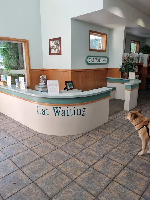 Companion Animal Hospital 12