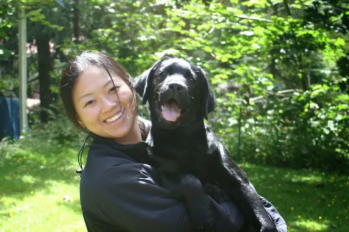 Companion Animal Hospital 12