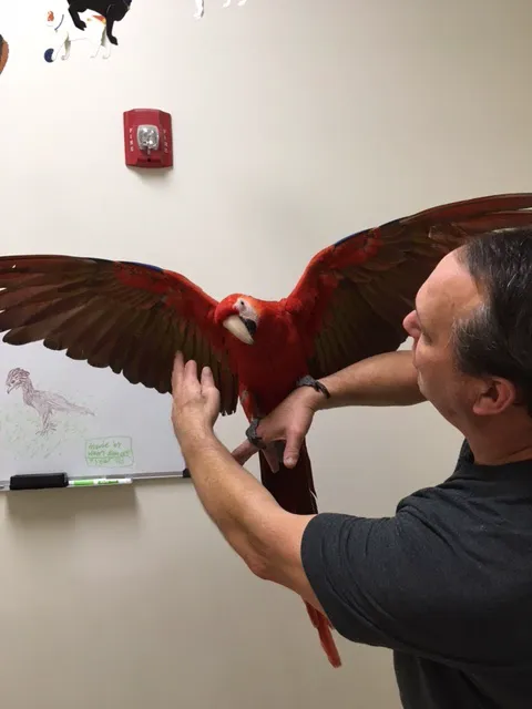 Crossroads Vet 12