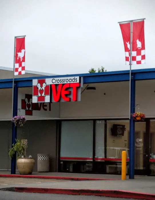 Crossroads Vet 12
