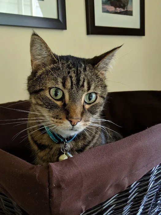 Brookfield Veterinary Hospital 3