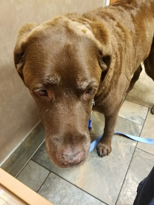 Brookfield Veterinary Hospital 1