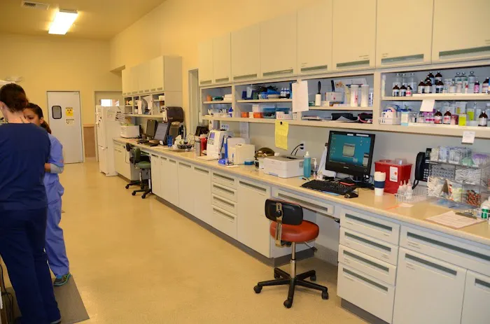 Brookfield Veterinary Hospital 6