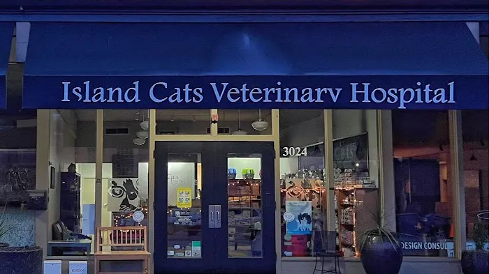 Island Cats Veterinary Hospital 12