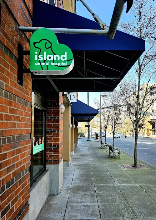 Island Animal Hospital and Urgent Care Services 12