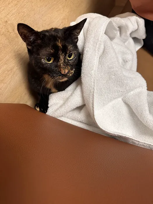 Island Animal Hospital and Urgent Care Services 12