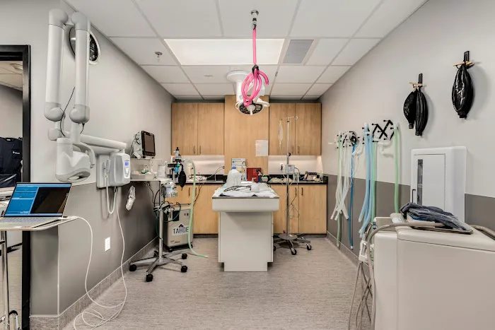 Island Animal Hospital and Urgent Care Services 12