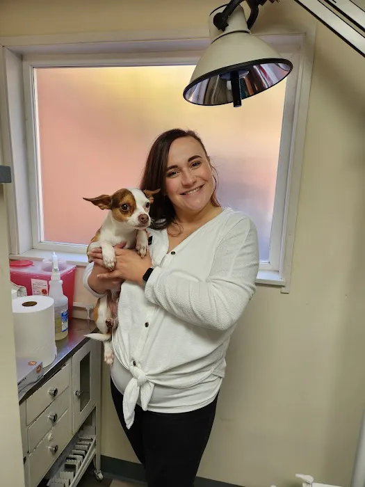 Pet Care Center at Luna Park 12