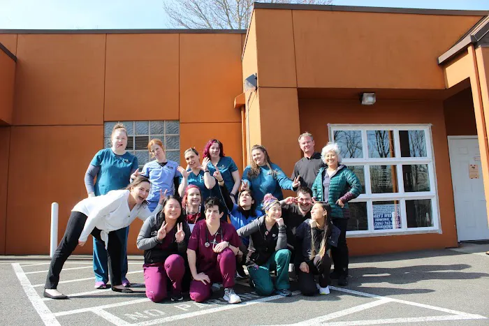 Pet Care Center at Luna Park 12