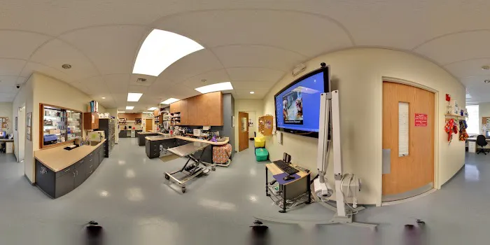 Lien Animal Clinic, A Thrive Pet Healthcare Partner 12