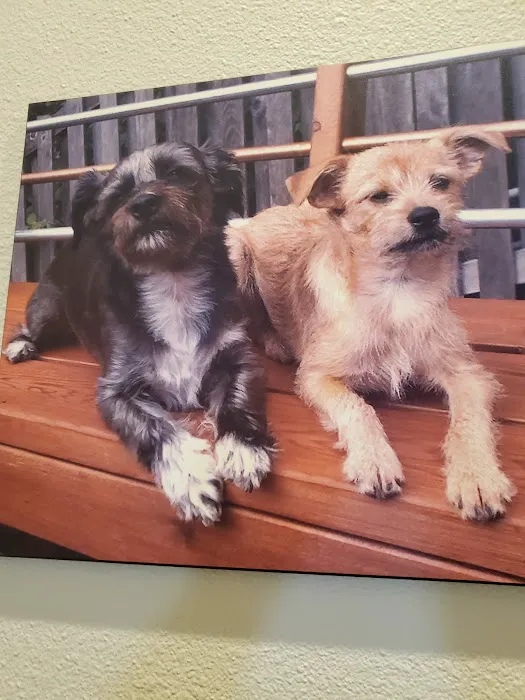West Seattle Animal Hospital 12
