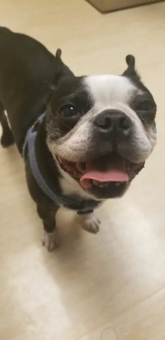 West Seattle Animal Hospital 12