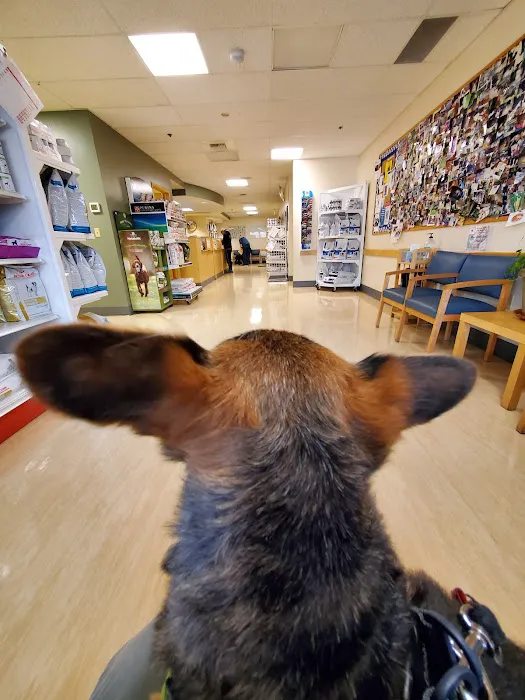 West Seattle Animal Hospital 12