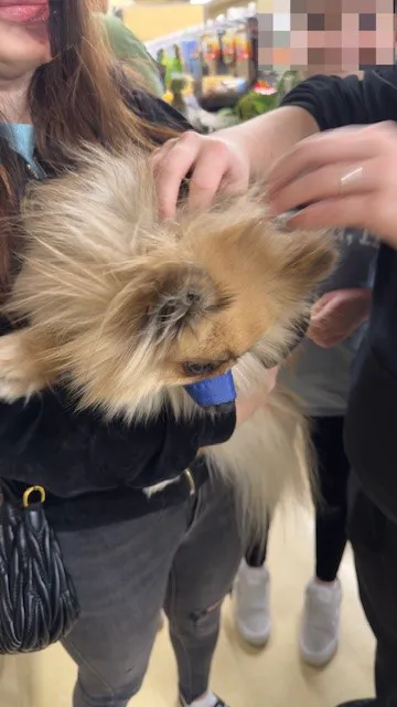 Vetco Vaccination Clinic 12