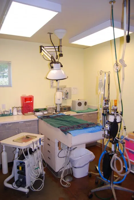 VCA West Seattle Veterinary Hospital 12