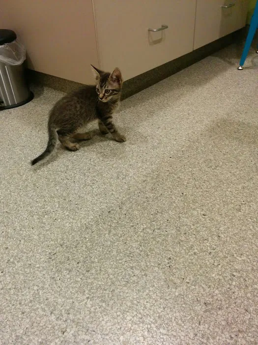 Cascade Heights Veterinary Center 12