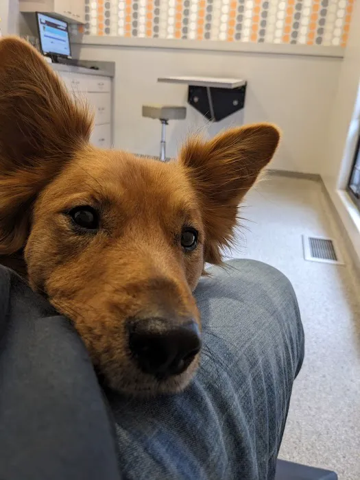Cascade Heights Veterinary Center 12