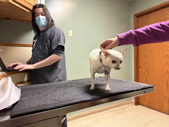 Greentree Animal Hospital 12