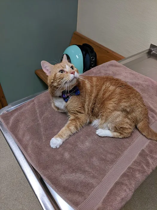 Greentree Animal Hospital 12