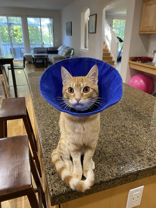 South Seattle Veterinary Hospital 2