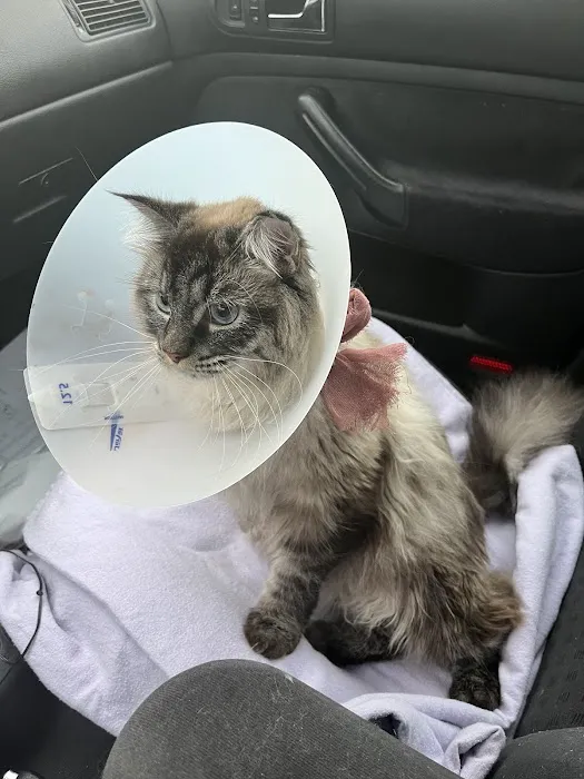 South Seattle Veterinary Hospital 6