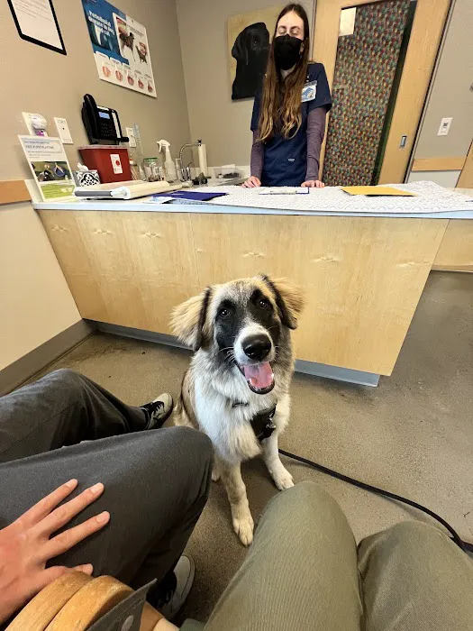 Eastside Veterinary Associates - Renton / Newcastle 12