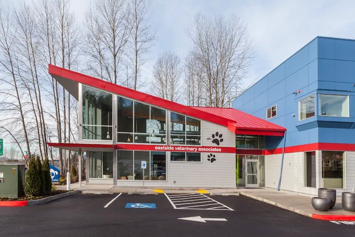 Eastside Veterinary Associates - Renton / Newcastle 12