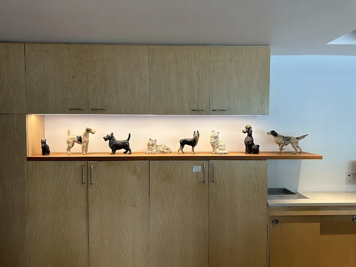 Animal Hospital of Factoria 12