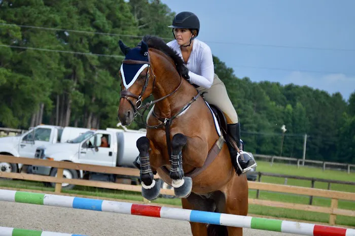 Fordham Equine Mobile Veterinary Services, PLLC 2