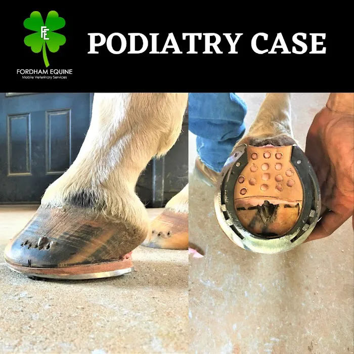 Fordham Equine Mobile Veterinary Services, PLLC 4