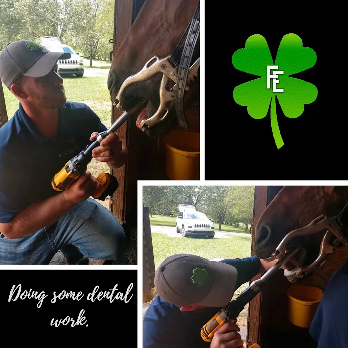 Fordham Equine Mobile Veterinary Services, PLLC 1
