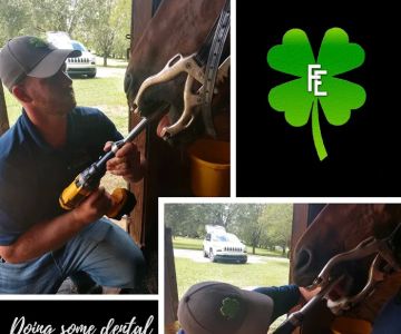 Fordham Equine Mobile Veterinary Services, PLLC
