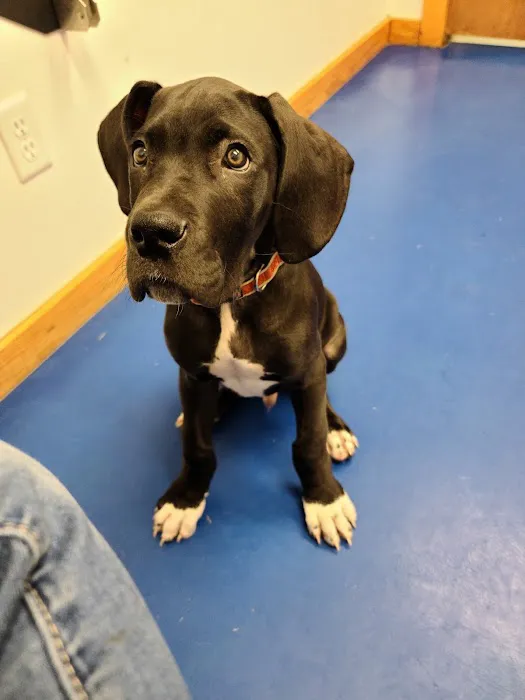 Big Thicket Veterinary Clinic- New Caney 12
