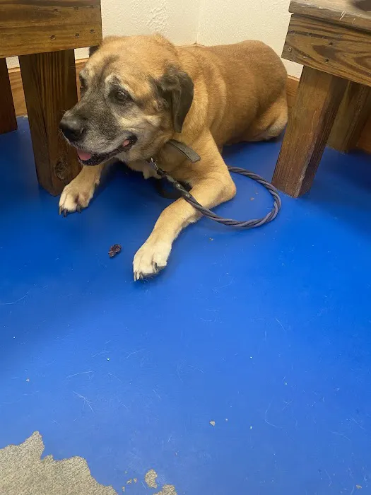 Big Thicket Veterinary Clinic- New Caney 12