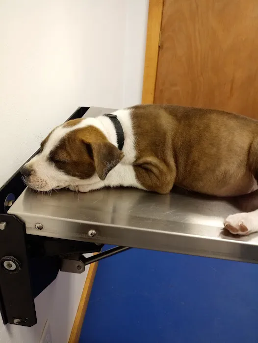 Big Thicket Veterinary Clinic- New Caney 12
