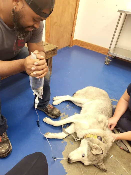 Big Thicket Veterinary Clinic- New Caney 12
