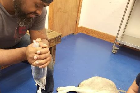 Big Thicket Veterinary Clinic- New Caney