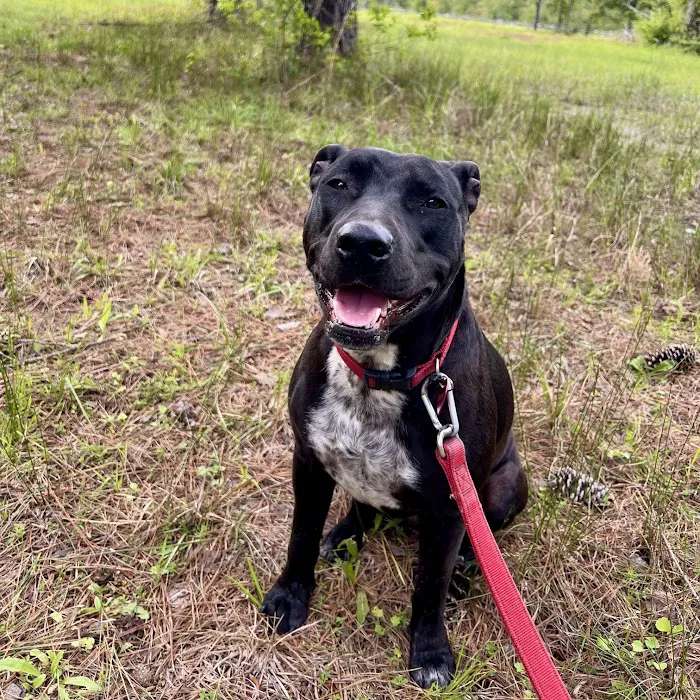 Big Thicket Veterinary Clinic- New Caney 12