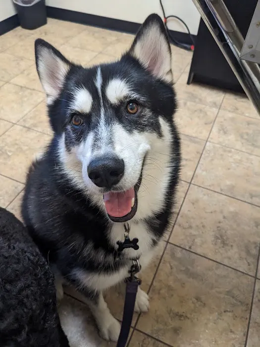 East Montgomery County Animal Hospital 12