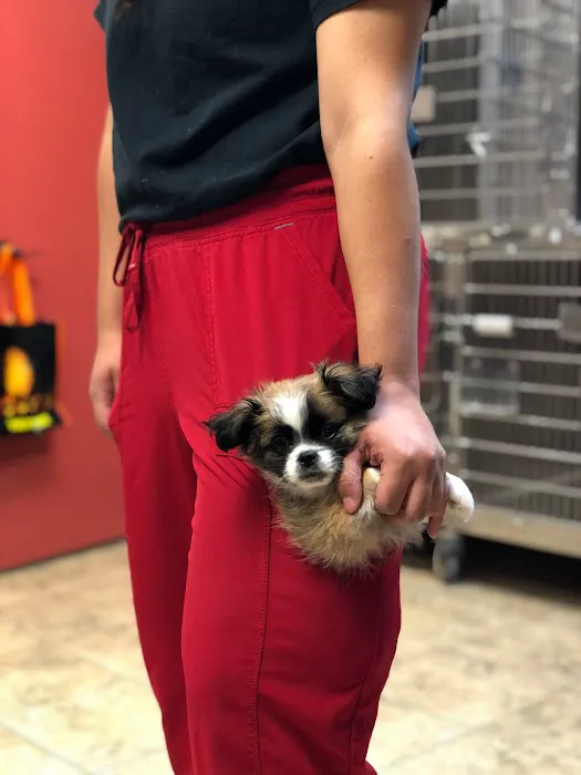 East Montgomery County Animal Hospital 12