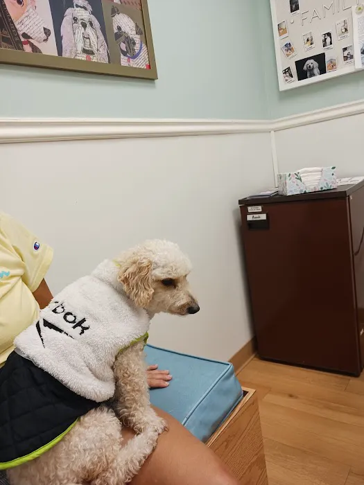 Nottingham Animal Clinic 12