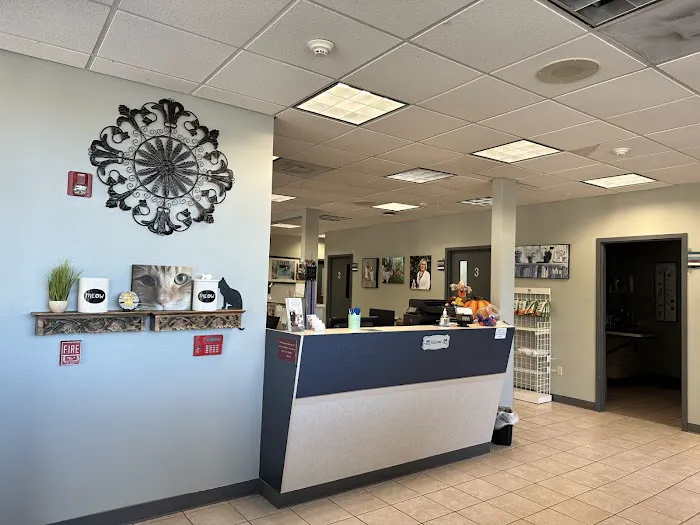 VCA Ashford Animal Hospital 10