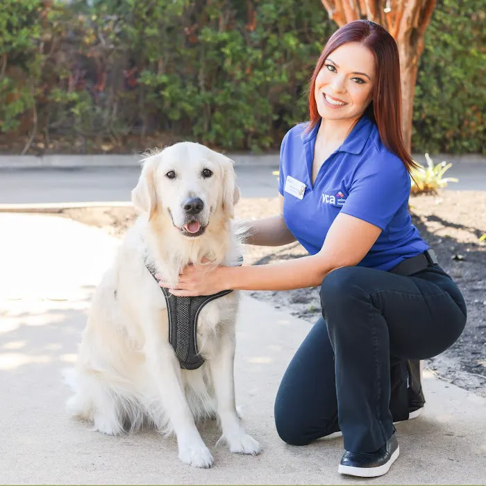 VCA Ashford Animal Hospital 7
