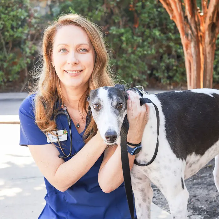 VCA Ashford Animal Hospital 6