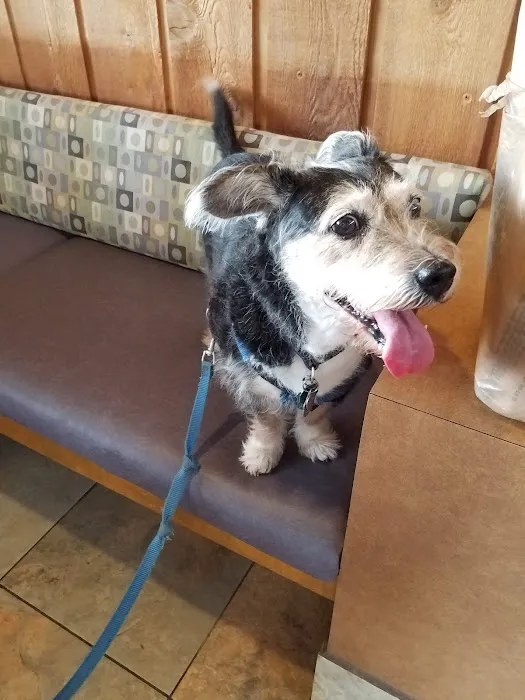 Lakeside Animal Clinic 12