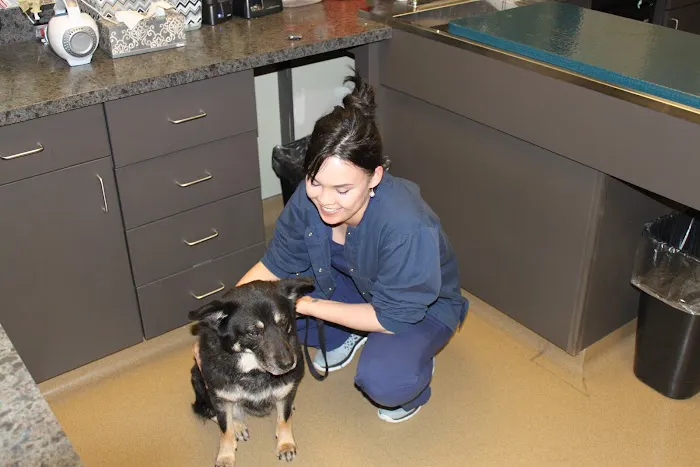 Lakeside Animal Clinic 12