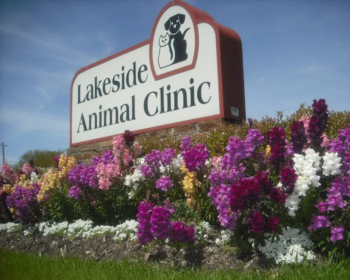 Lakeside Animal Clinic 12