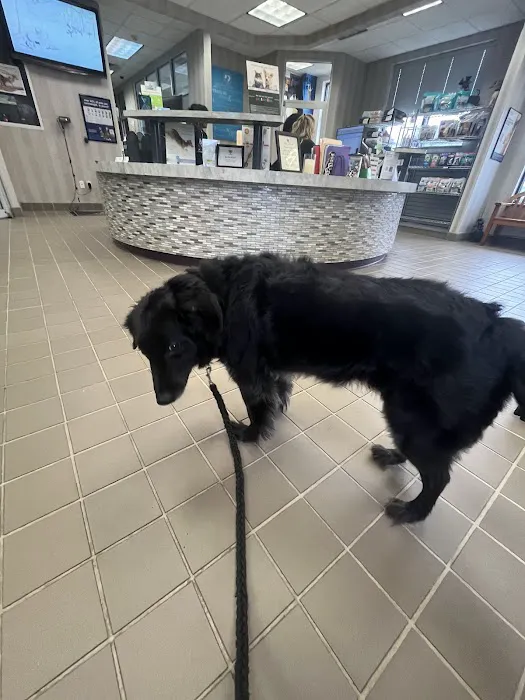West Houston Veterinary Medical Associates 12