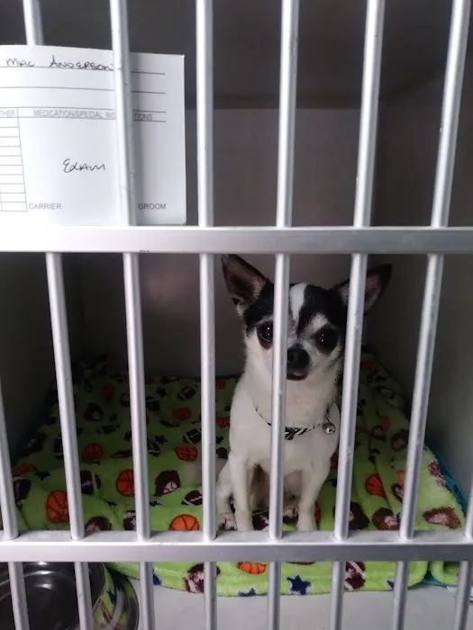 West Houston Veterinary Medical Associates 12