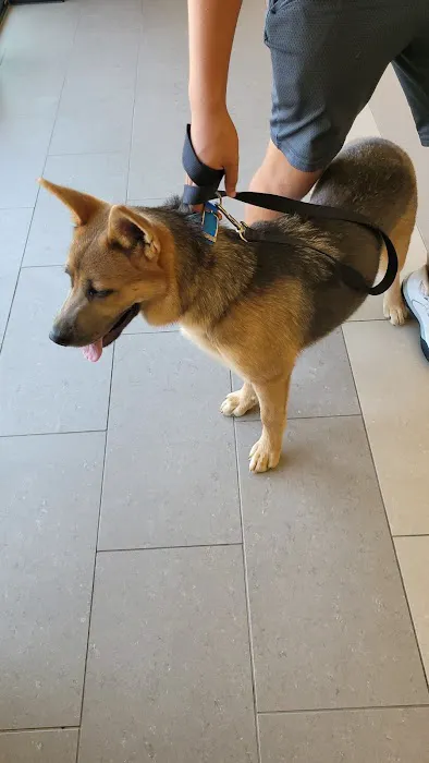 Happy Pets Vets 12